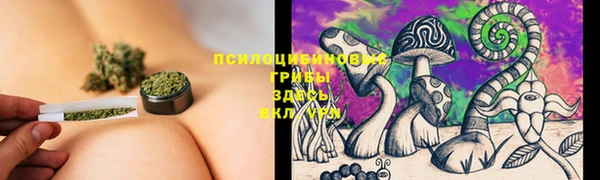 прущий лед Дмитриев