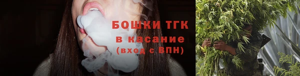 ECSTASY Дмитровск