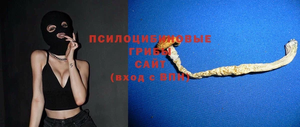 мет Дмитров