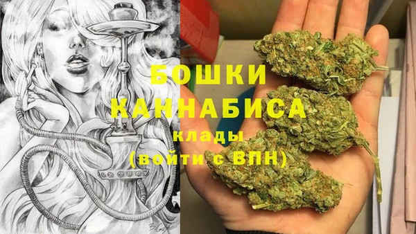 PSILOCYBIN Медногорск