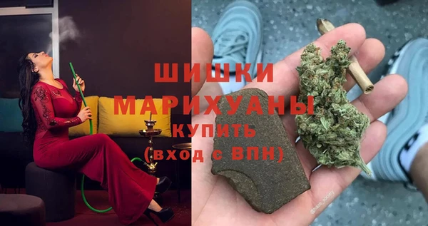 мет Дмитров