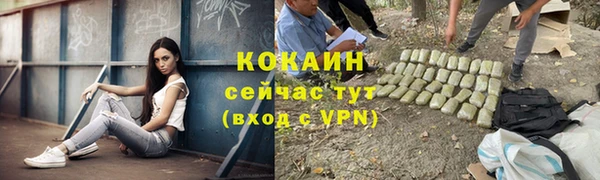 винт Мегион