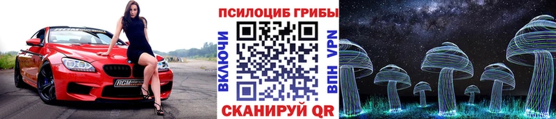 купить наркотик Хадыженск blacksprut зеркало Псилоцибиновые грибы Magic Shrooms